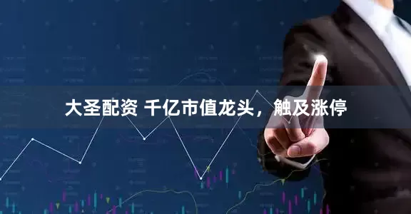 大圣配资 千亿市值龙头，触及涨停
